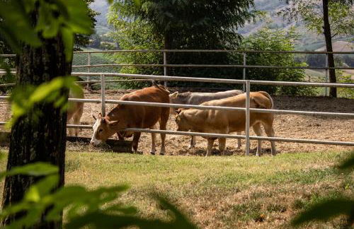Agriturismo Cella di Montalto Pavese - Photo 50