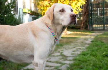 Casa di Bimba - Photo 11