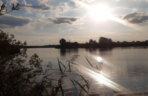 Ferienhaus am grossen See in Fuerstenwerder - Photo 32