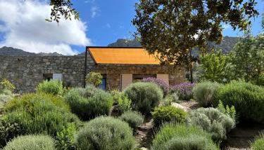 Résidence Casarella Lama - Foto 4