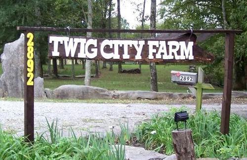 Secluded Watertree Tiny House near Old Hickory Lake – Private Deck, Trails & Breakfast - Foto 61