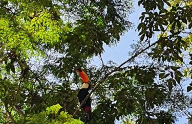 Casa 09 Floresta Boa Vista - Piscina Privativa, Jardim e Lazer Completo - Photo 42