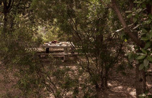 Nel Giardino dei Pesci Volanti - Foto 29