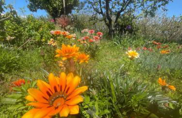 Quinta Pura Natura - Foto 48