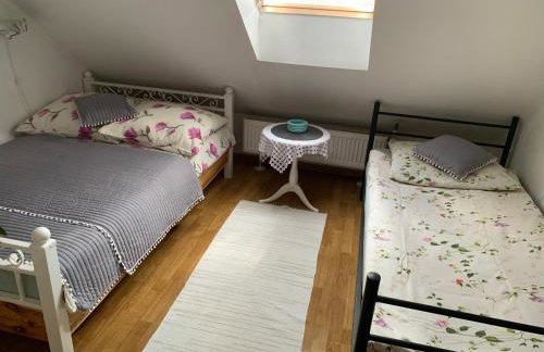 AGROTURYSTYKA DOR-Ali u Ali - Foto 12