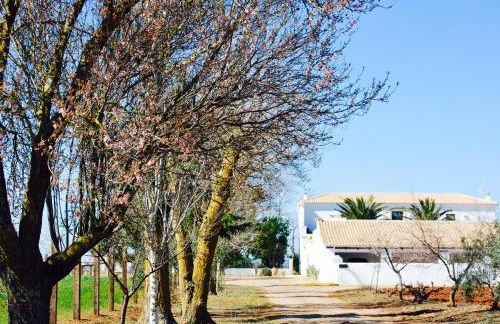 Cortijo de Vega Grande - Foto 117