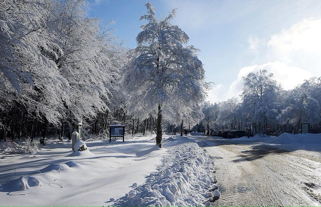 Romantic Hideaway in Hellenthal - Photo 14