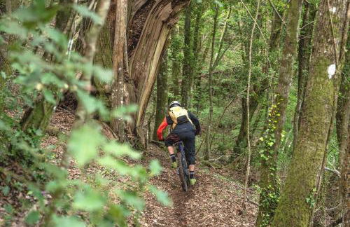 Hotel Rifugio Prategiano - Foto 22
