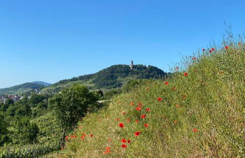Acapella Suite Adagio 54qm, direkt am Weinberg, Altstadt, Netflix inklusive - Foto 32