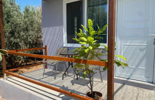 Vine Veranda - Photo 10