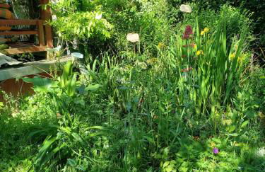 Artist's house for rent - Foto 21