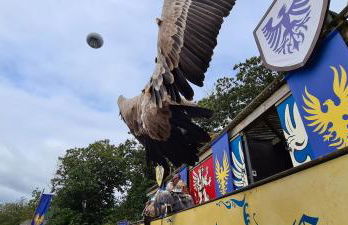 Jolie Studio Le Pavachon à 3 min du Puy du Fou Les Epesses - Foto 31