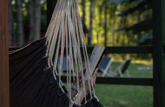 Między Sosnami - Foto 44