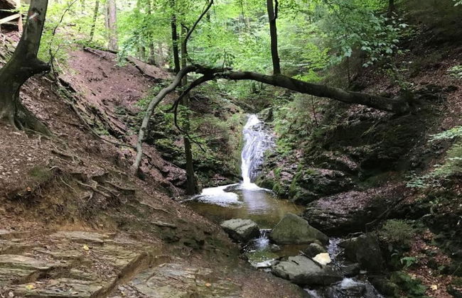 Cozy Nature Escape, Stoumont - Photo 30