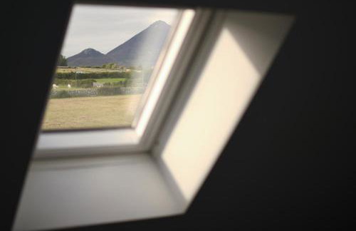 Wee Henry's Barn - Photo 6