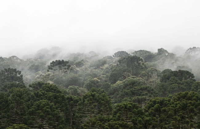 Vale Mandaçaia - Foto 35
