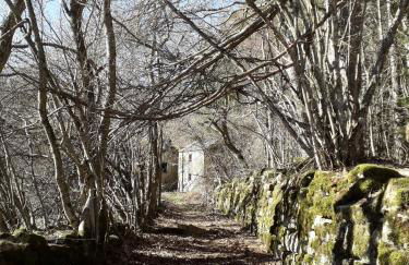 LA TANA DEL PICCHIO - Photo 42