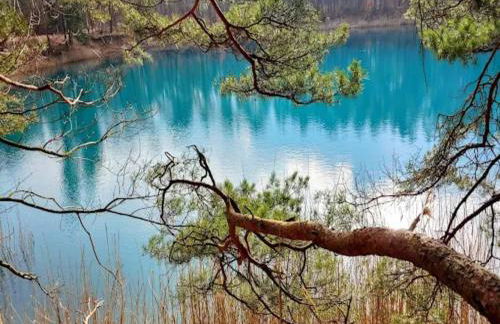 Hausboot am See - Foto 29