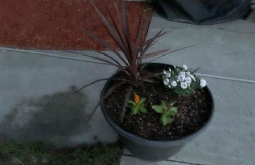 The Wing at Kingston East - Photo 45