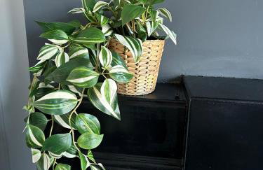 Spacious City-Centre Apartment · Sleeps 4 - Foto 29