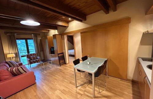 Aparthotel Siente Boí & Spa - Photo 106