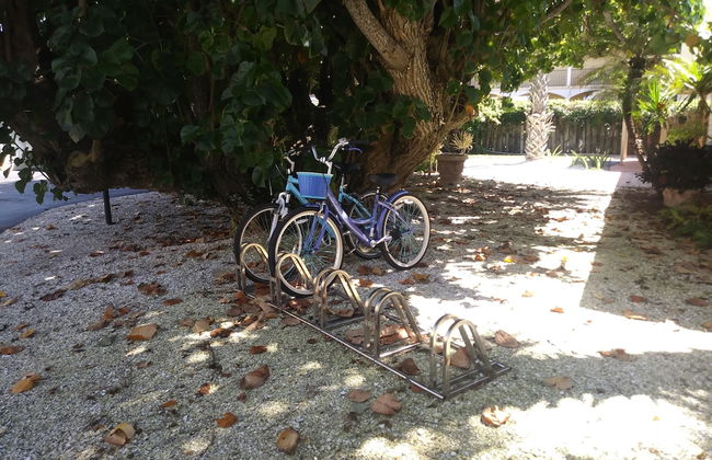 Turtle Crawl Inn - Foto 71