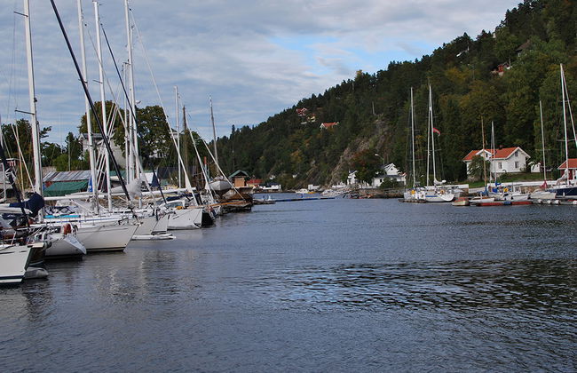 Fjord sightseeing - Photo 1