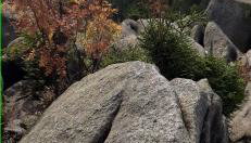 Ferienwohnung Fichtelgebirge - Foto 5