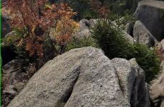 Ferienwohnung Fichtelgebirge - Foto 5