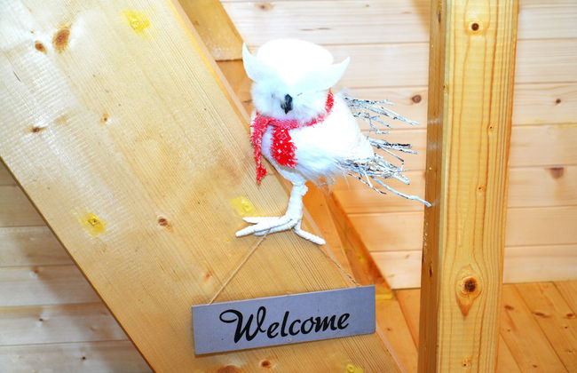 Holiday Homes & Bungalows Povija - Foto 8