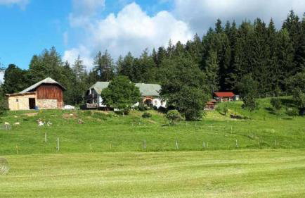 Landhof Steinhütte - Foto 1