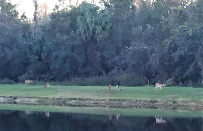 4636 5-bed Disney Area Pool Home, Cumbrian Lakes - Foto 36