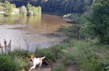 LA TRABOULE Maison de ville avec extérieur - Foto 45