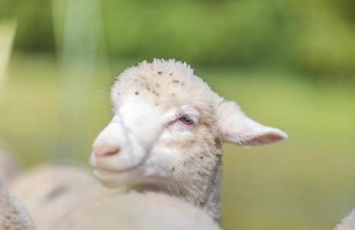 3 Bed in Burton Bradstock oc-c30571 - Photo 26