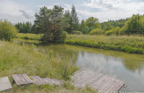 SILVA Guest House - dom wczasowy, tenis, basen, balia i sauna - Foto 45