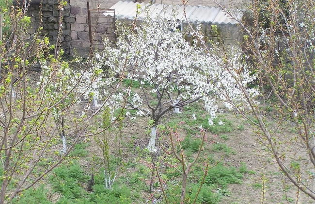 B&B Sunrise House Aygavan Armenia - Photo 1