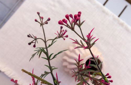 Honeymoon in the heart of Cagliari - Photo 21