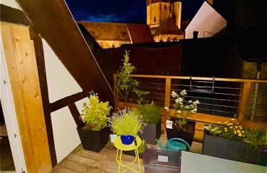 Joli 2 pièces, avec climatisation et grande terrasse, vue sur les toits, zone piétonne - Photo 16