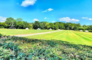 CAYORETREAT STATIC CARAVAN - Photo 13