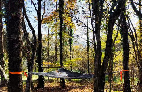 UNDER THE GREEN ROOF - Foto 78