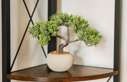 Elbau Residence Uni und Klinik nah - Foto 2