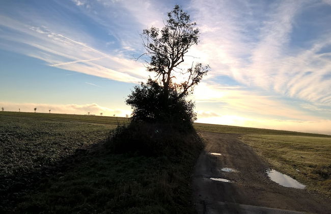 Kammbaude Neuhermsdorf - Photo 19