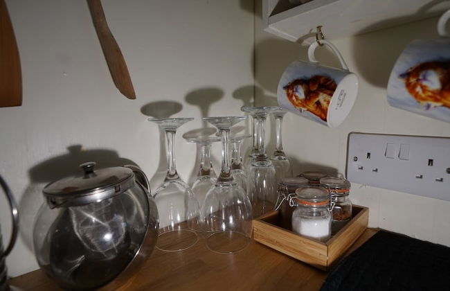 Shepherd's Hut @ Westcote - Foto 11