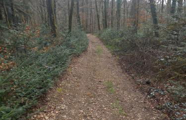 Le fournil à Mïette - Foto 38