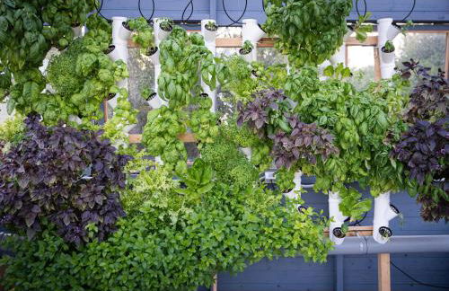 Natura Escape in Val di Noto - Foto 13