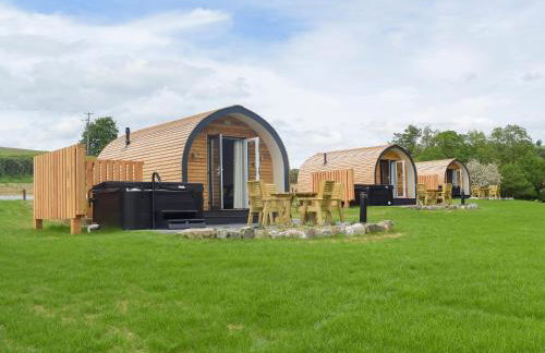 Efyrnwy Pod Vip - Foto 14