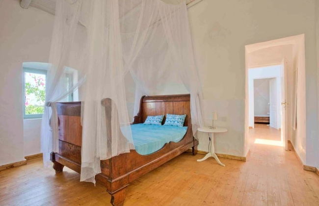 Morgado do Quintao - Foto 10