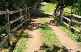 CHALÉ ESTÂNCIA OURO VERDE - Photo 38