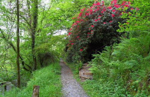 Kingfisher - Foto 25