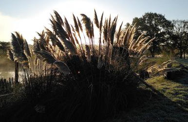 Tiny House in Wonderland - Foto 37